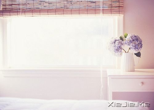 早安心语：再不疯狂，我们就老了 (3)