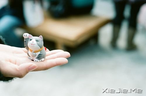 早安心语：再不疯狂，我们就老了 (9)